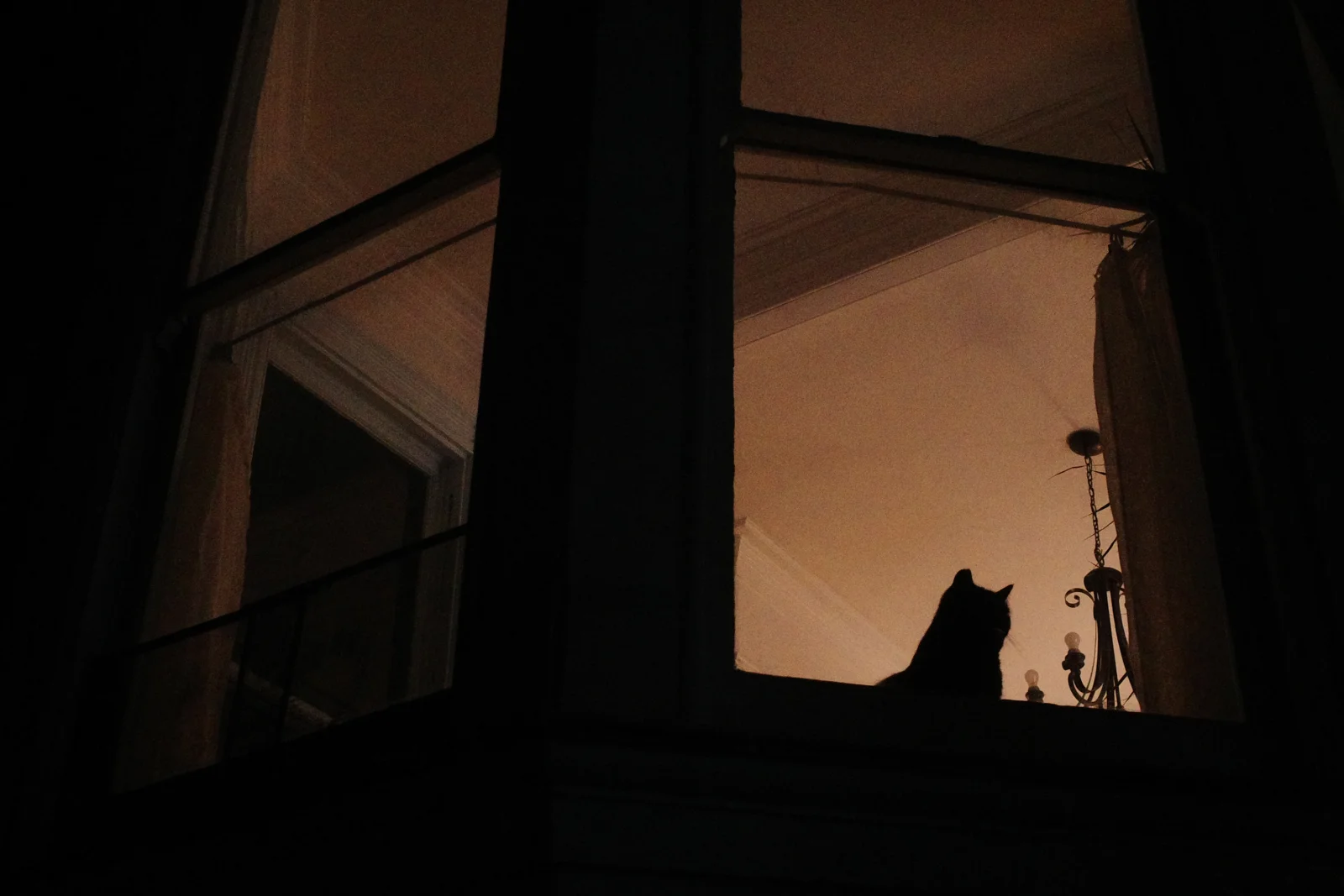 Photograph by Gabe — R0000079