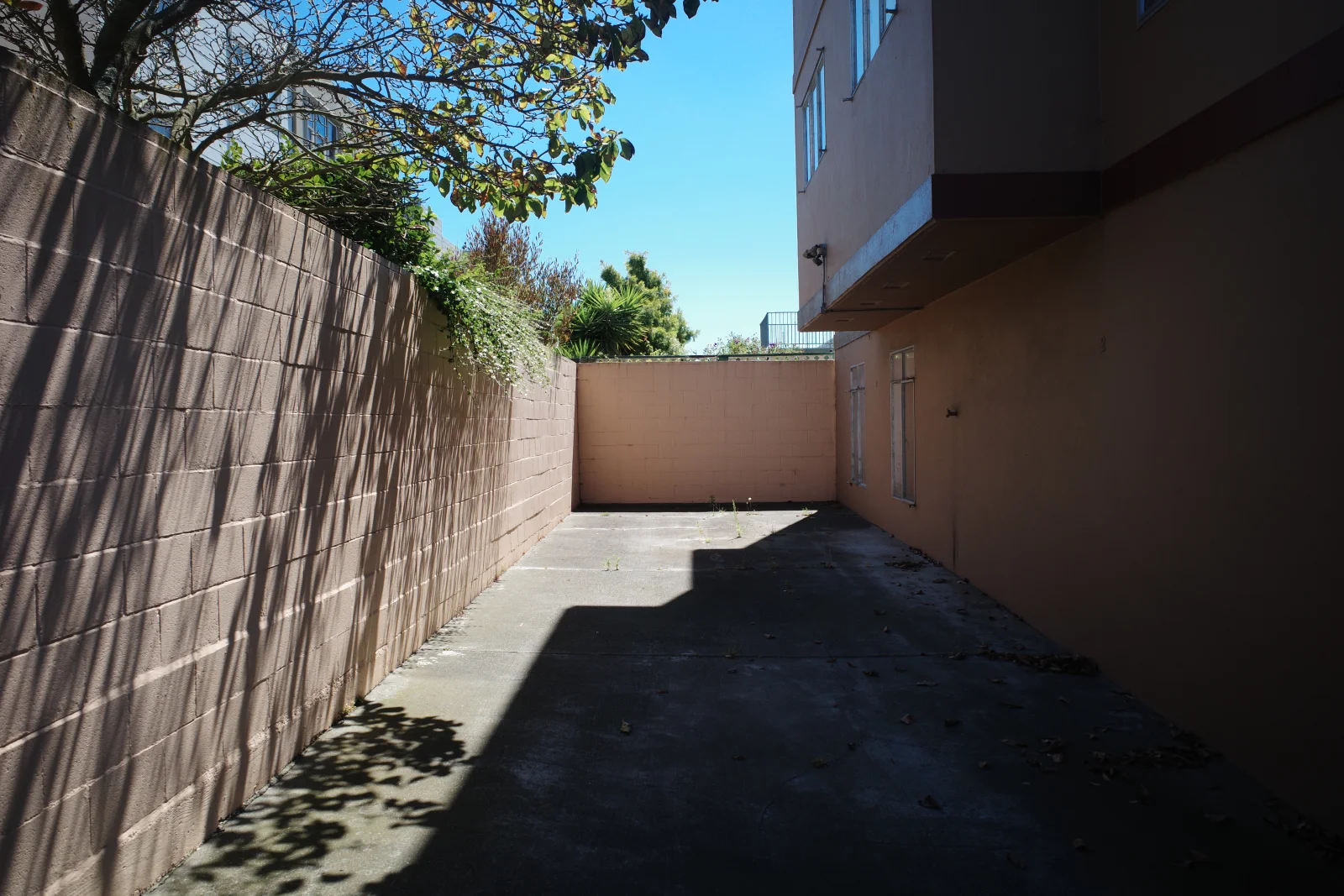Photograph by Gabe — R0009301
