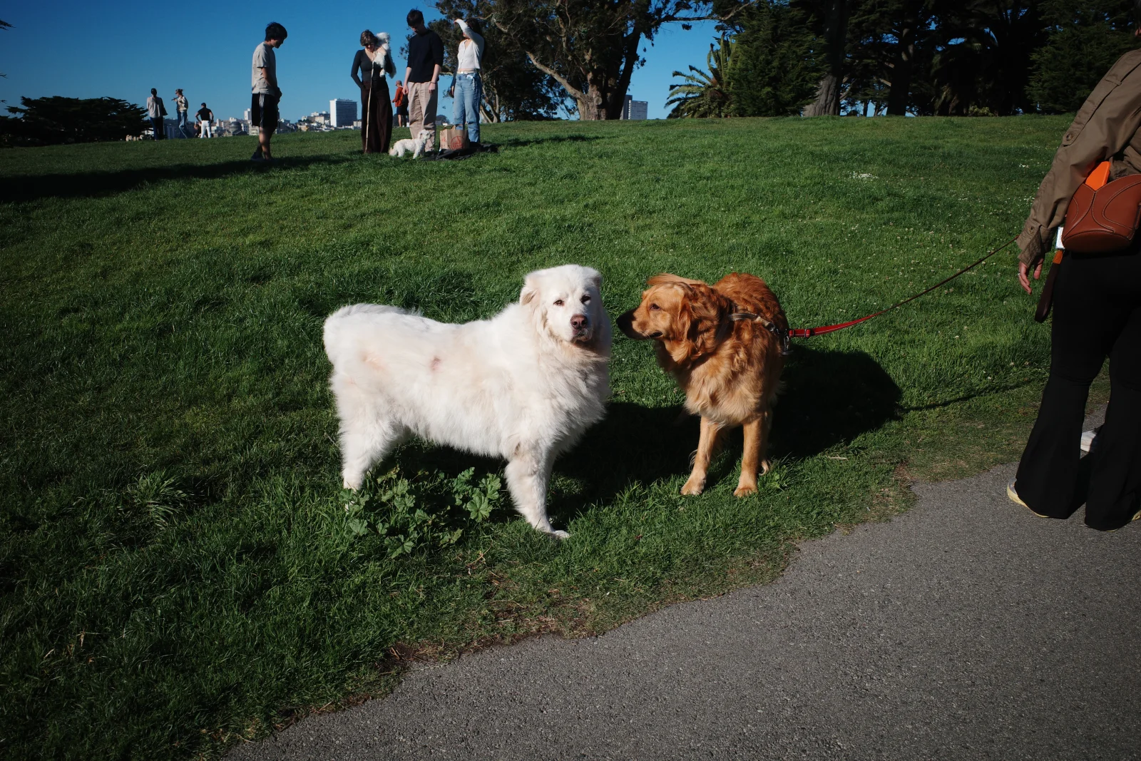 Photograph by Gabe — R0009319