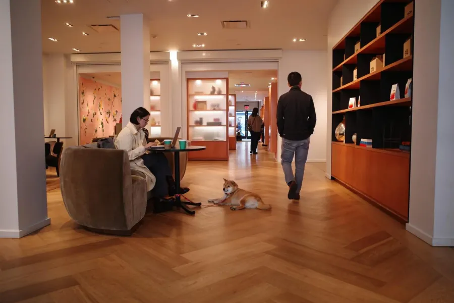 A shiba inu lying on a herringbone wood floor beside a woman working on a laptop, while a man walks past shelves in a bright shop.